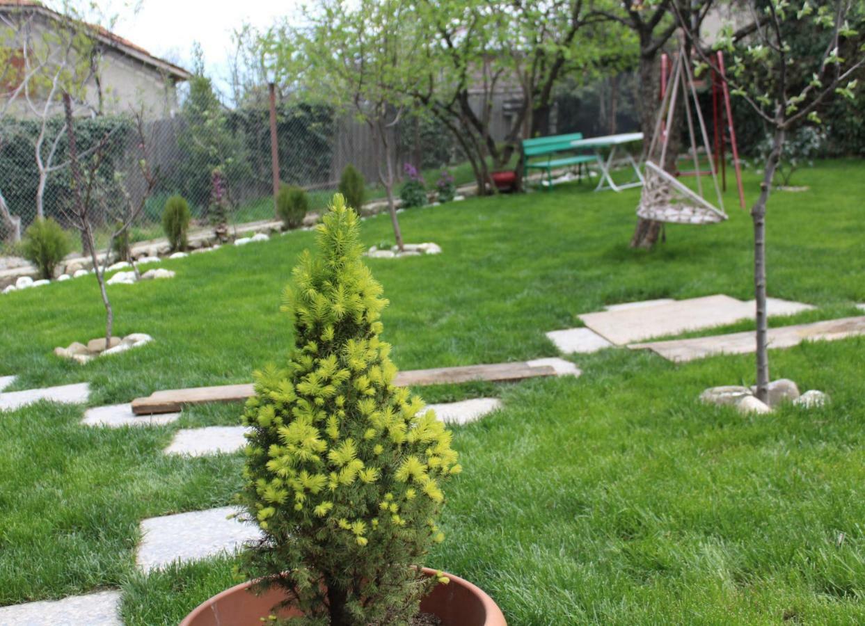Guest House Poligloti Telavi Exterior foto